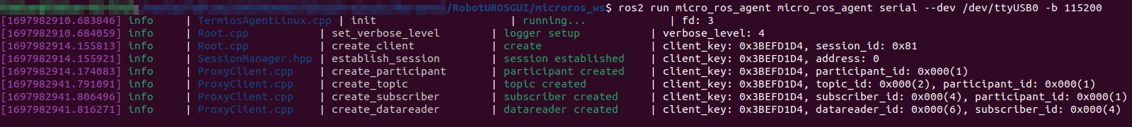 Micro ROS Agent Subscriber Added Terminal Output v4