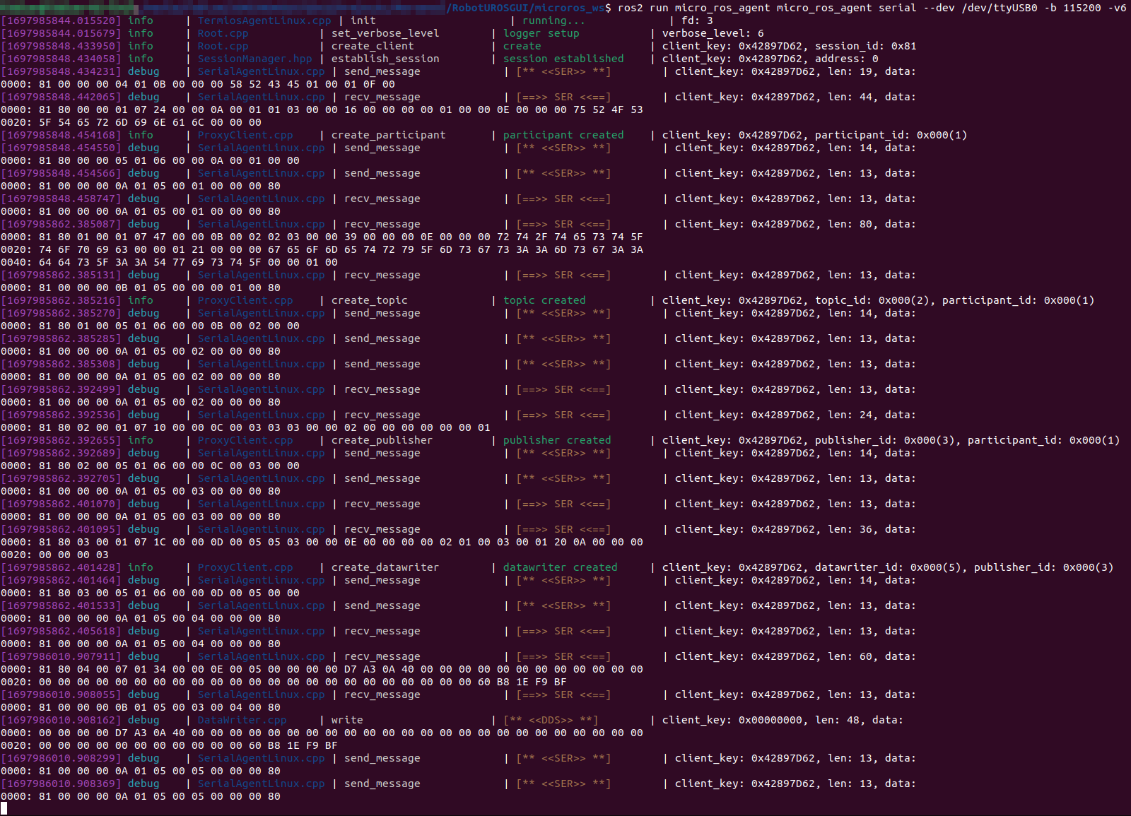 Micro ROS Publisher Publish Terminal Output v6