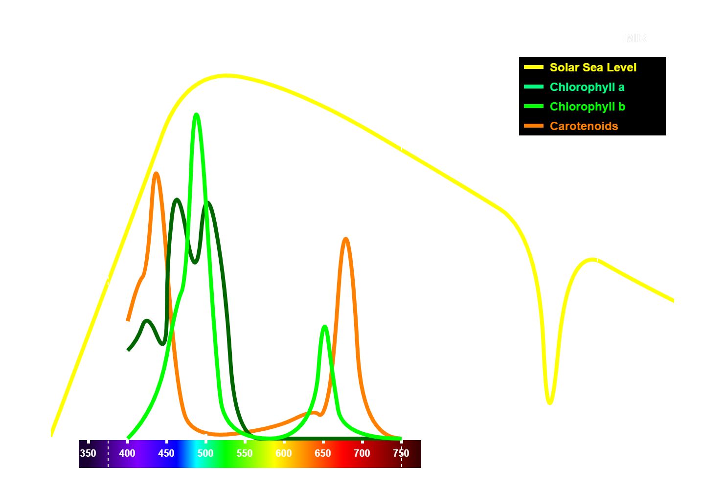 Plant Absorption Spectrum